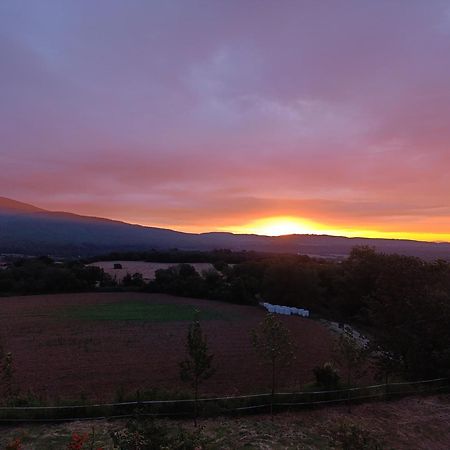 Mas Pitre Bed & Breakfast Besalú Eksteriør bilde