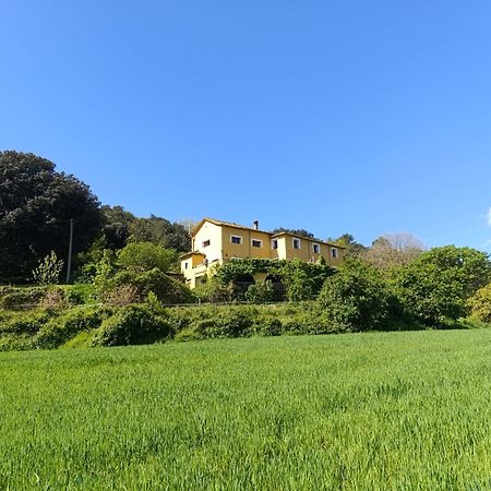 Mas Pitre Bed & Breakfast Besalú Eksteriør bilde
