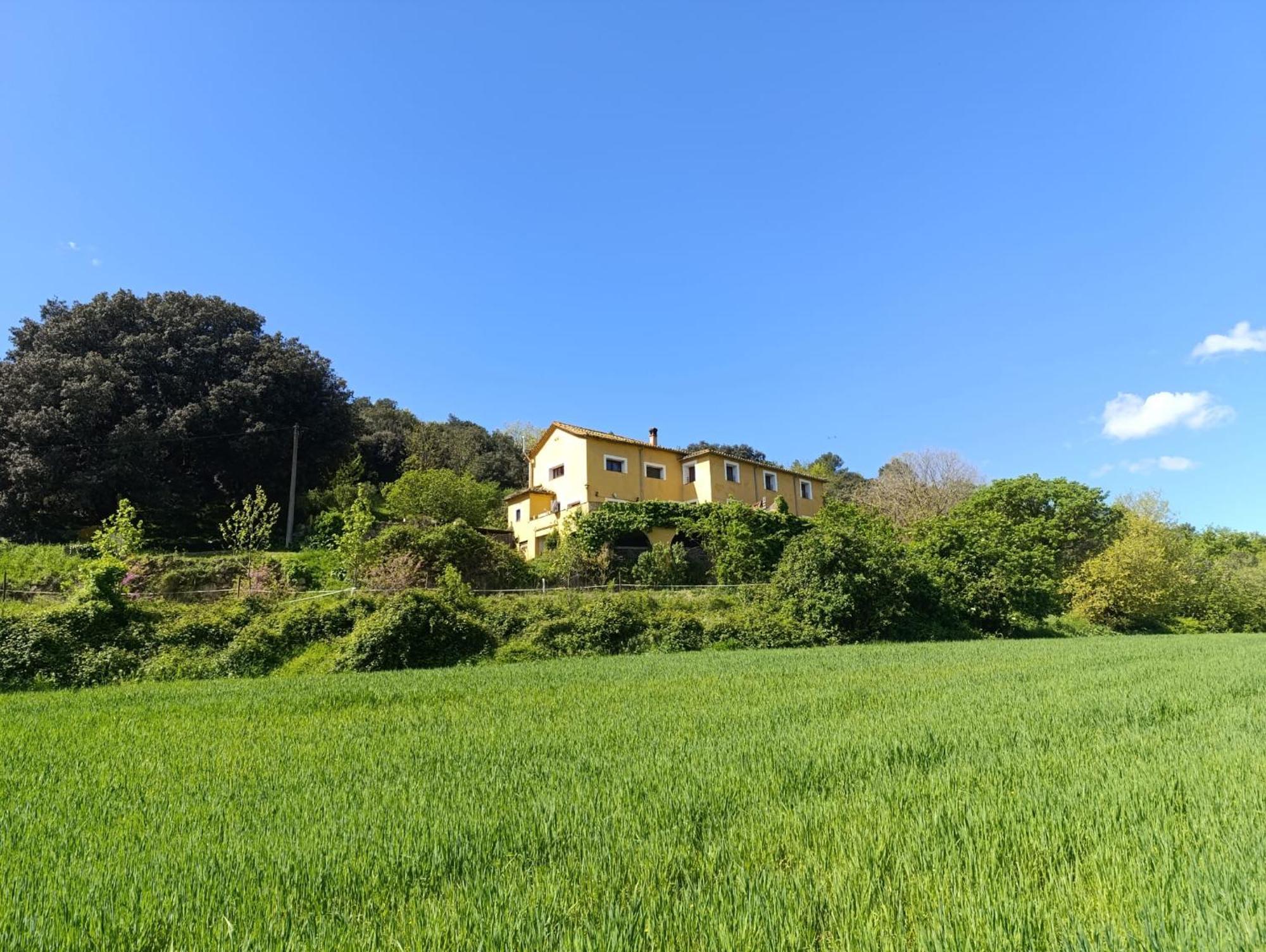 Mas Pitre Bed & Breakfast Besalú Eksteriør bilde